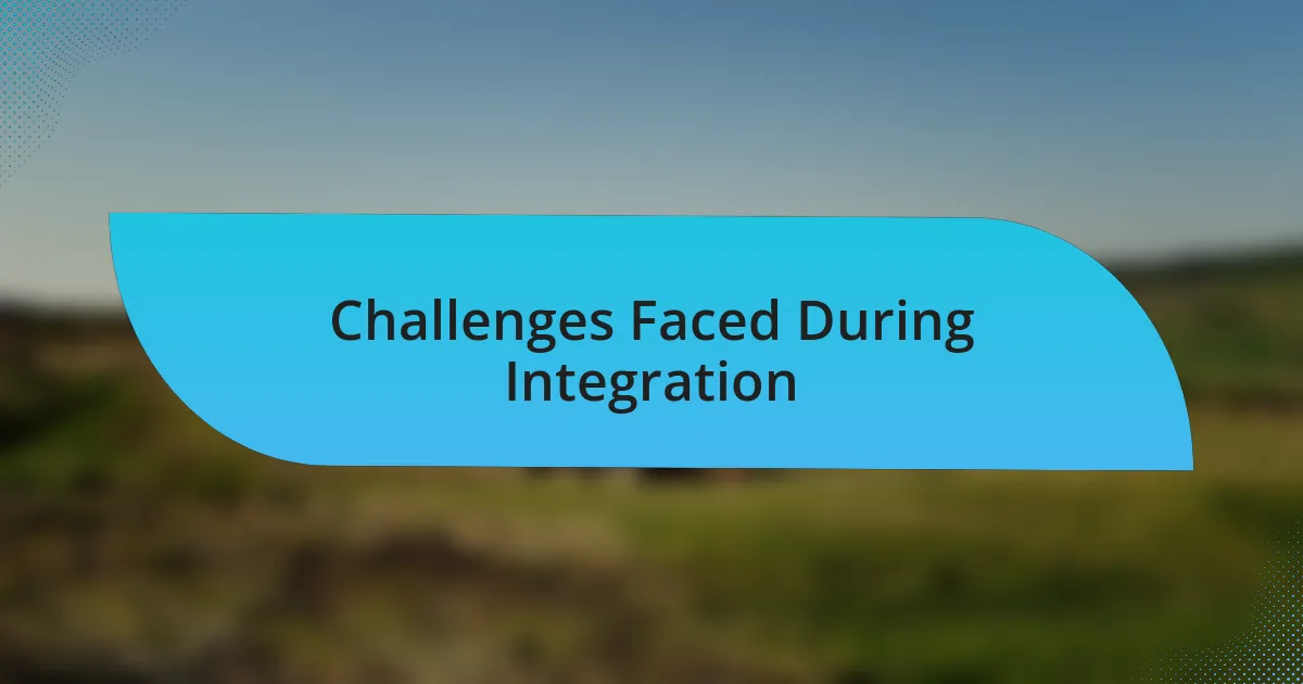 Challenges Faced During Integration