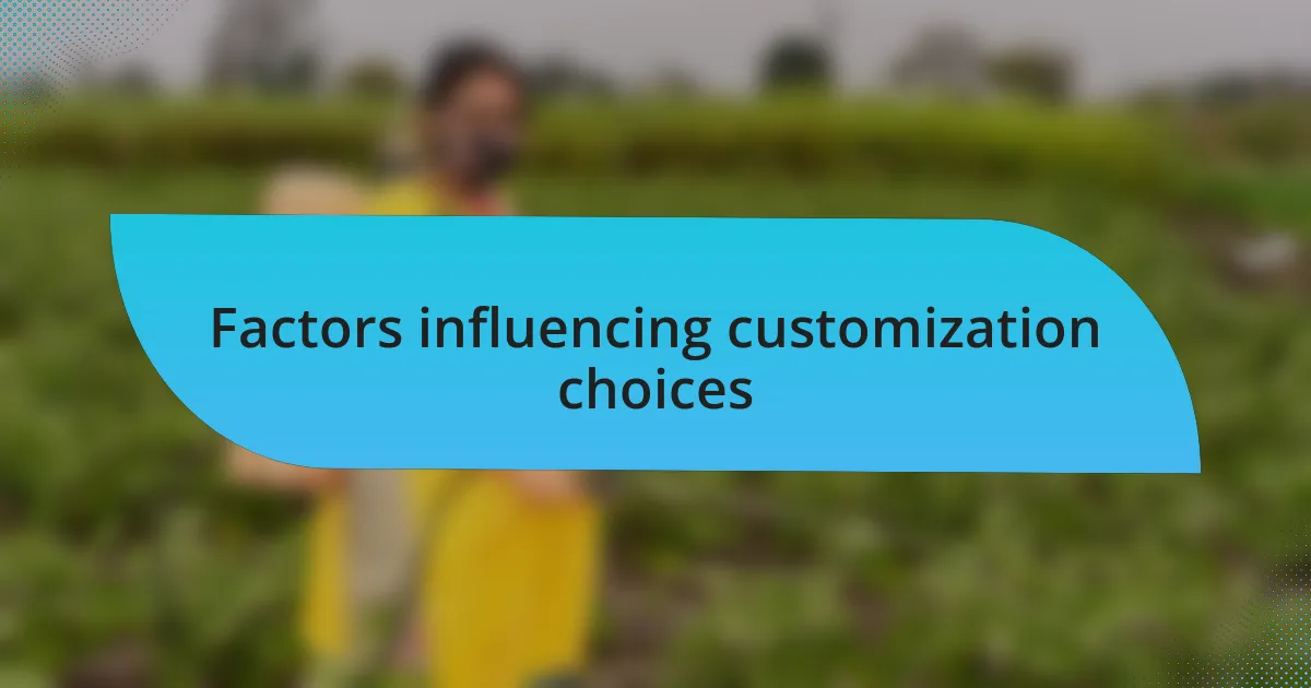 Factors influencing customization choices