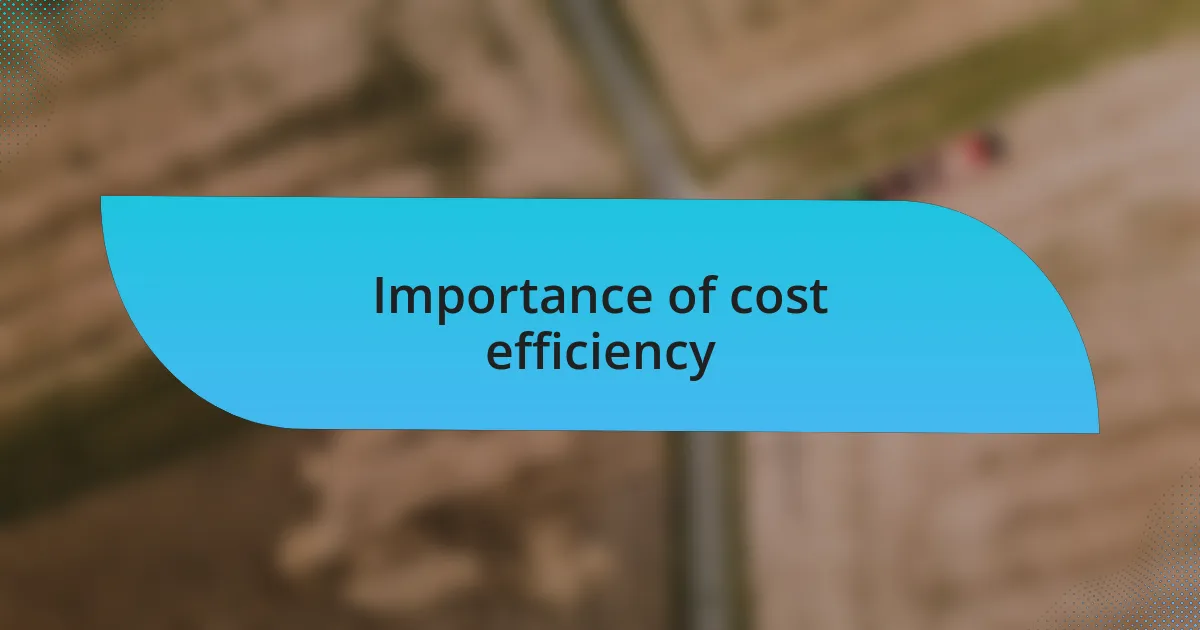 Importance of cost efficiency